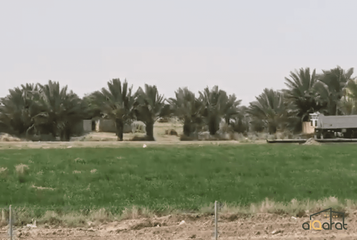 أرض زراعي للبيع على سريع ابوغريب مقابل النصر والسلام٬ (٤٣ دونم)طابو زراعي٬ السعر للدونم ٧٥ مليون دينار