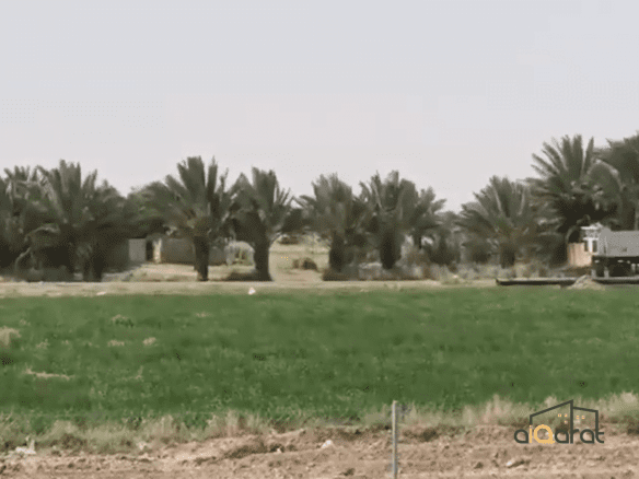 أرض زراعي للبيع على سريع ابوغريب مقابل النصر والسلام٬ (٤٣ دونم)طابو زراعي٬ السعر للدونم ٧٥ مليون دينار 21 Screen Shot 2023 09 22 at 5.21.02 PM