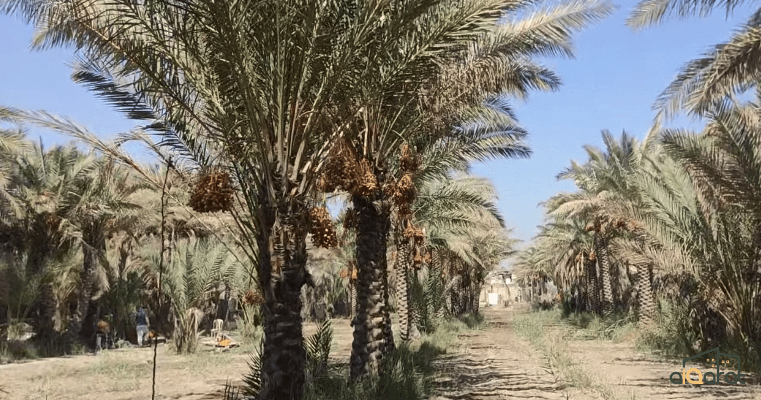 Screen Shot 2023-10-03 at 10.53.04 PM