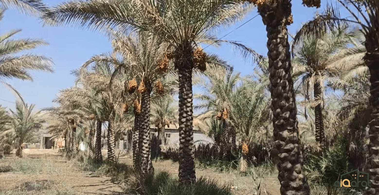 Screen Shot 2023-10-03 at 10.57.20 PM