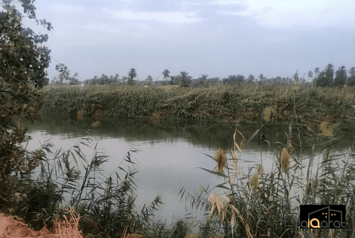 أرض زراعي للبيع في محافظة النجف٬ بالقرب من شارع الكورنيش (١٥٠م²) السعر ٢٥ مليون دينار