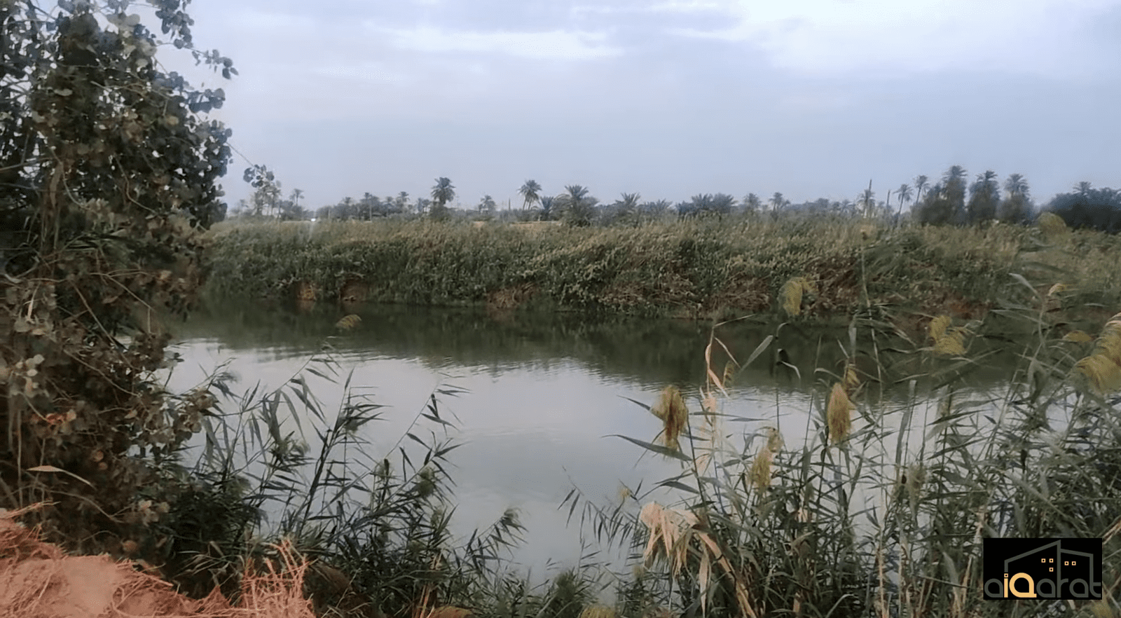 Screen Shot 2023-10-07 at 12.50.00 AM