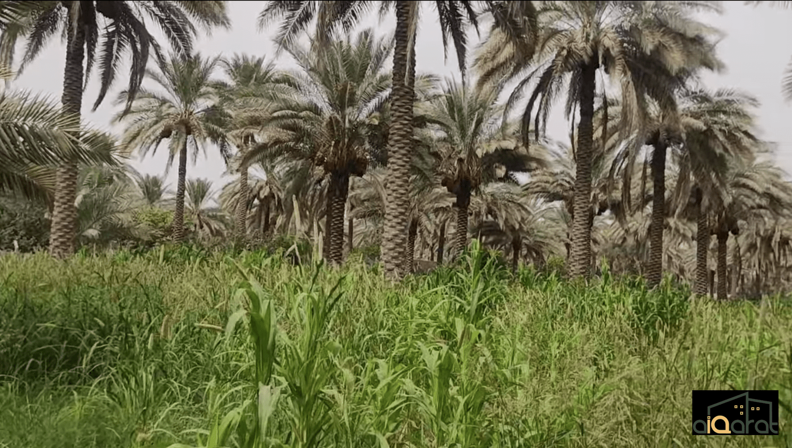 Screen Shot 2023-10-10 at 12.29.15 AM