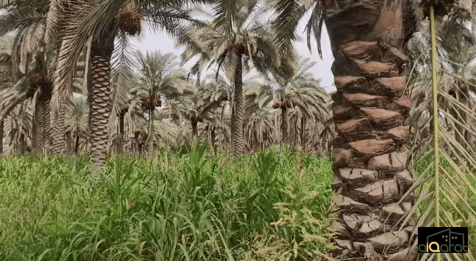 Screen Shot 2023-10-10 at 12.29.38 AM