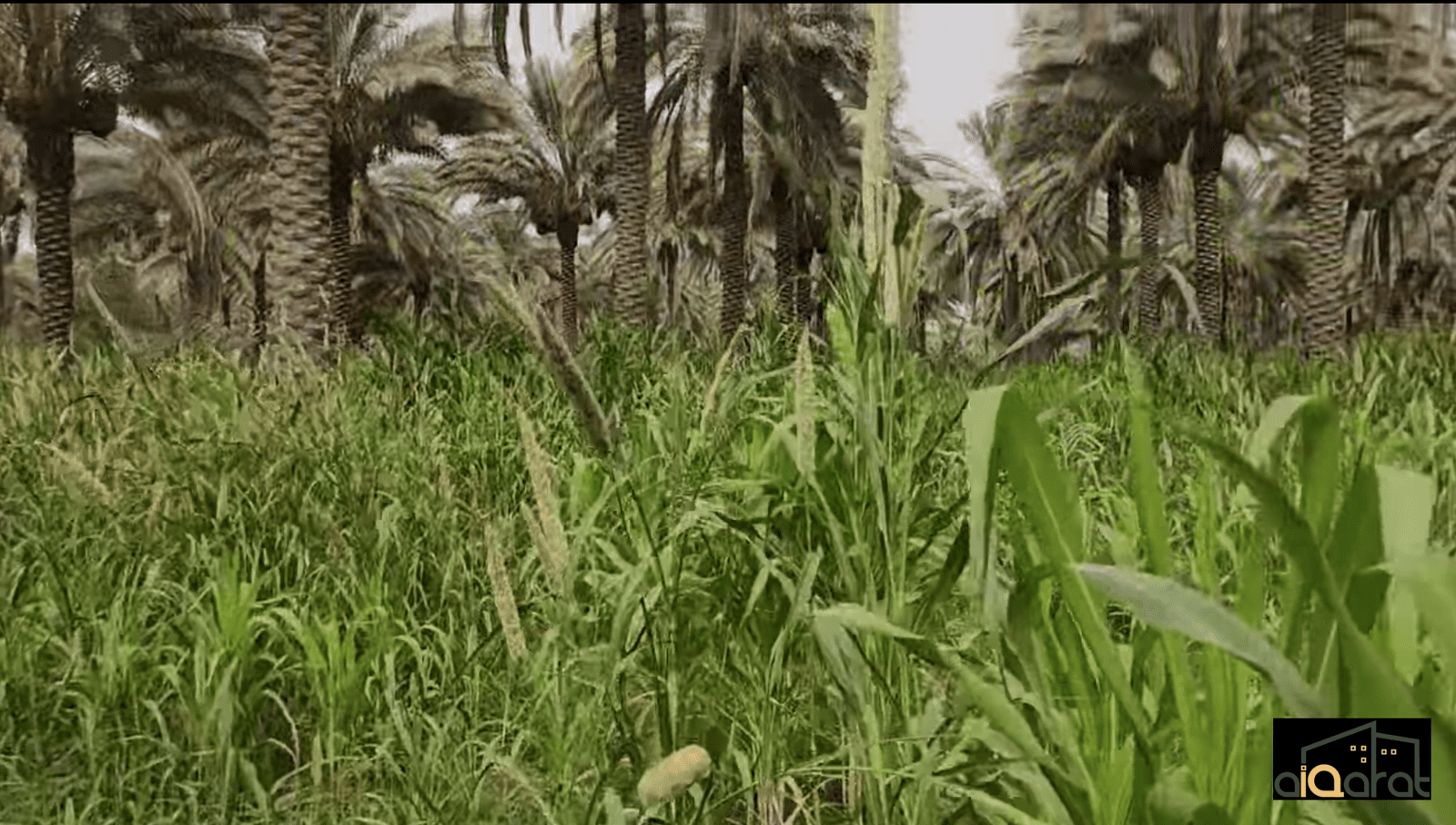 Screen Shot 2023-10-10 at 12.29.55 AM