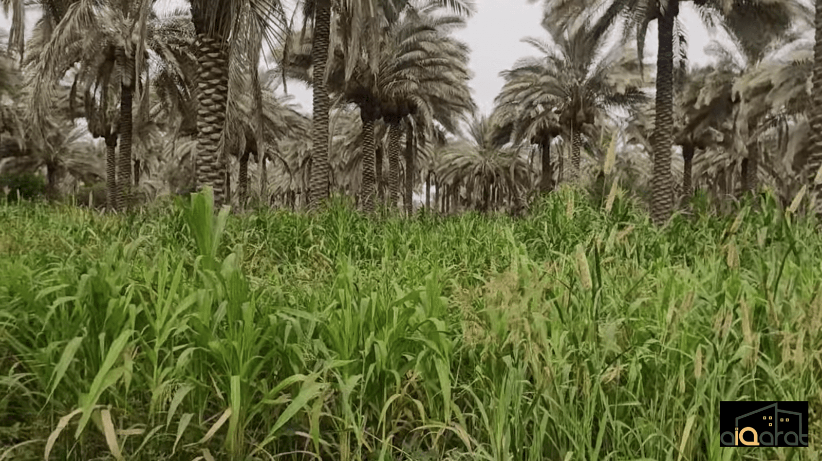 Screen Shot 2023-10-10 at 12.30.26 AM