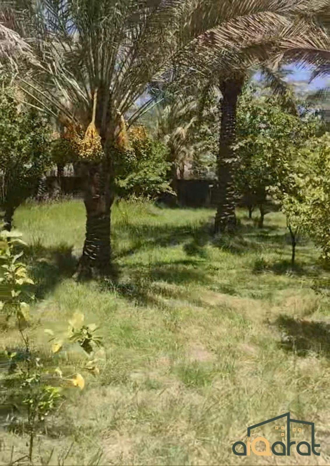 WhatsApp Image 2023-10-03 at 1.14.21 AM (2)