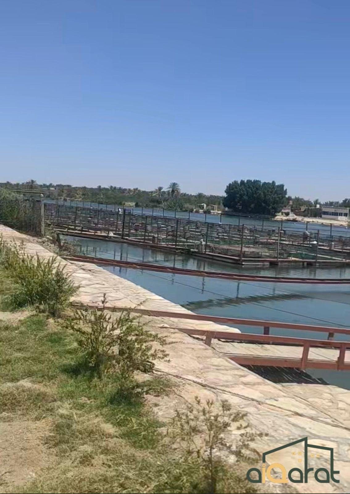 WhatsApp Image 2023-10-03 at 1.14.21 AM (5)