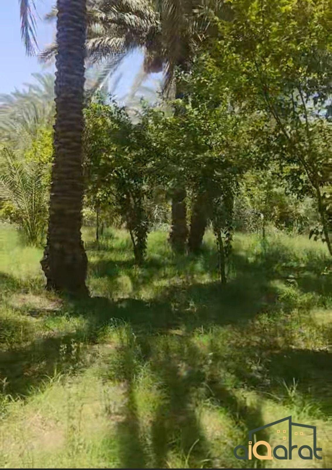 WhatsApp Image 2023-10-03 at 1.14.21 AM