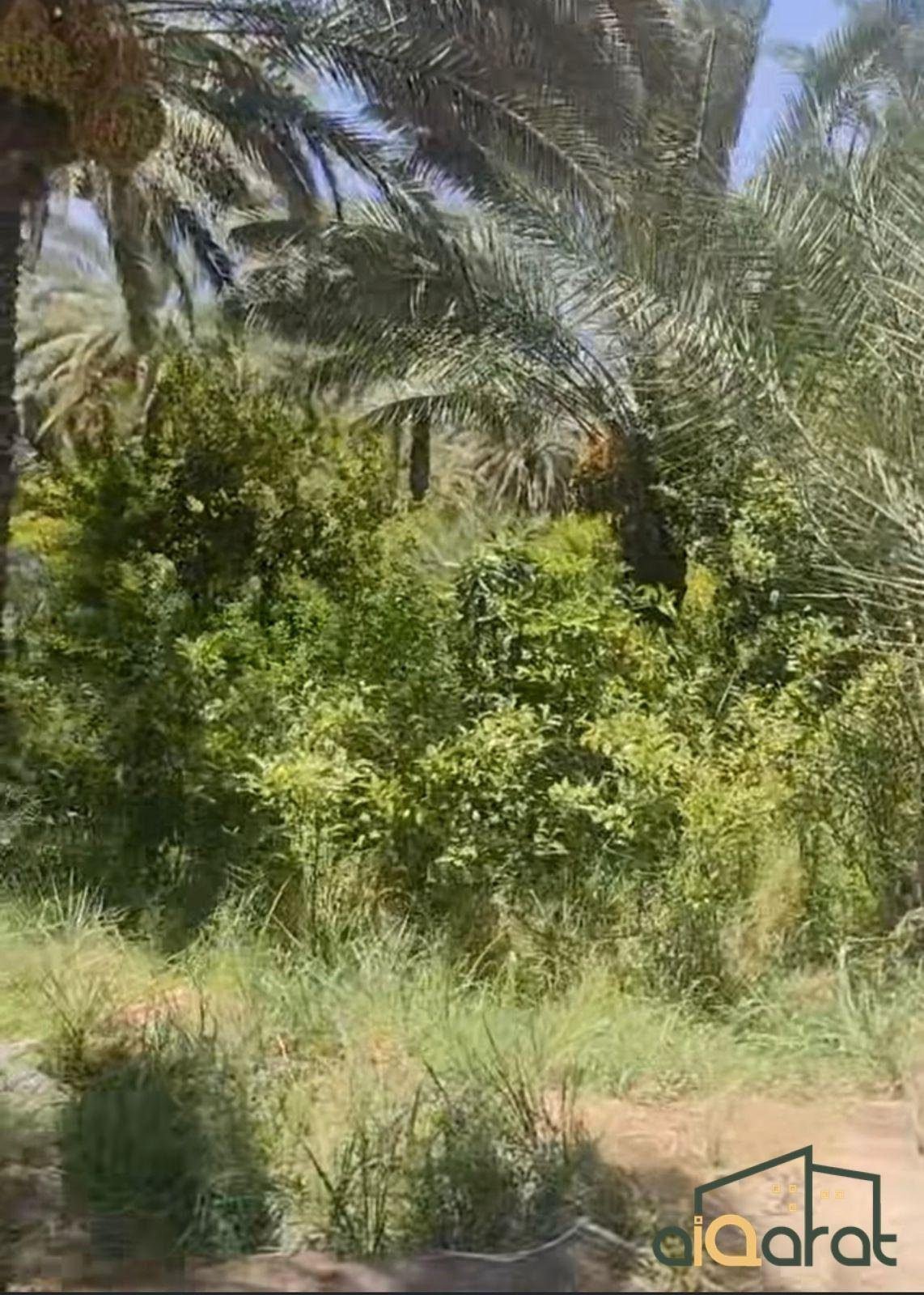 WhatsApp Image 2023-10-03 at 1.14.22 AM