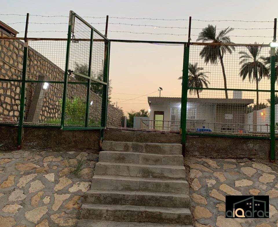ك٣