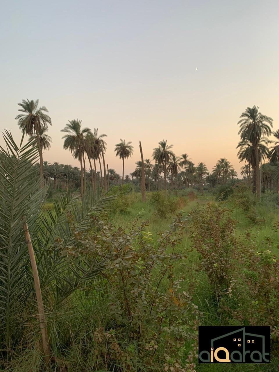 ك٤