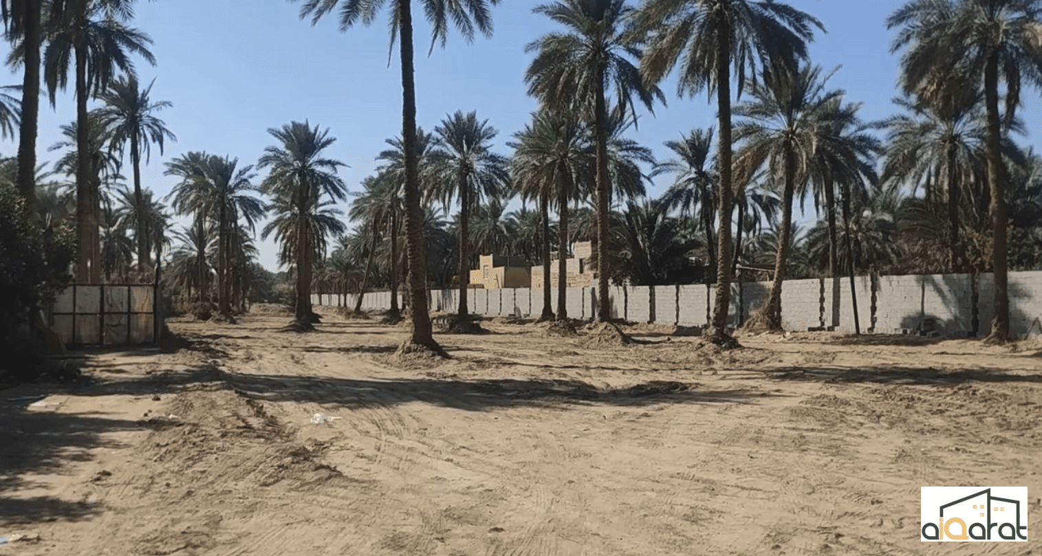 Screen Shot 2023-11-12 at 12.42.05 PM