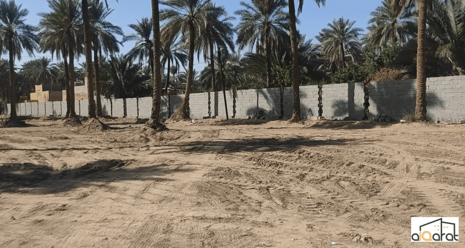 Screen Shot 2023-11-12 at 12.42.25 PM