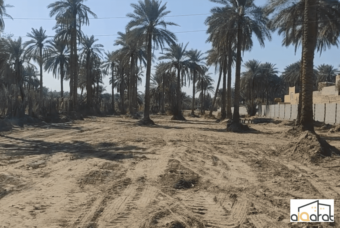 بستان للبيع في كربلاء٬شارع مطبخ العتبة (٣دونم) سعر الدونم ٢٦٠مليون دينار