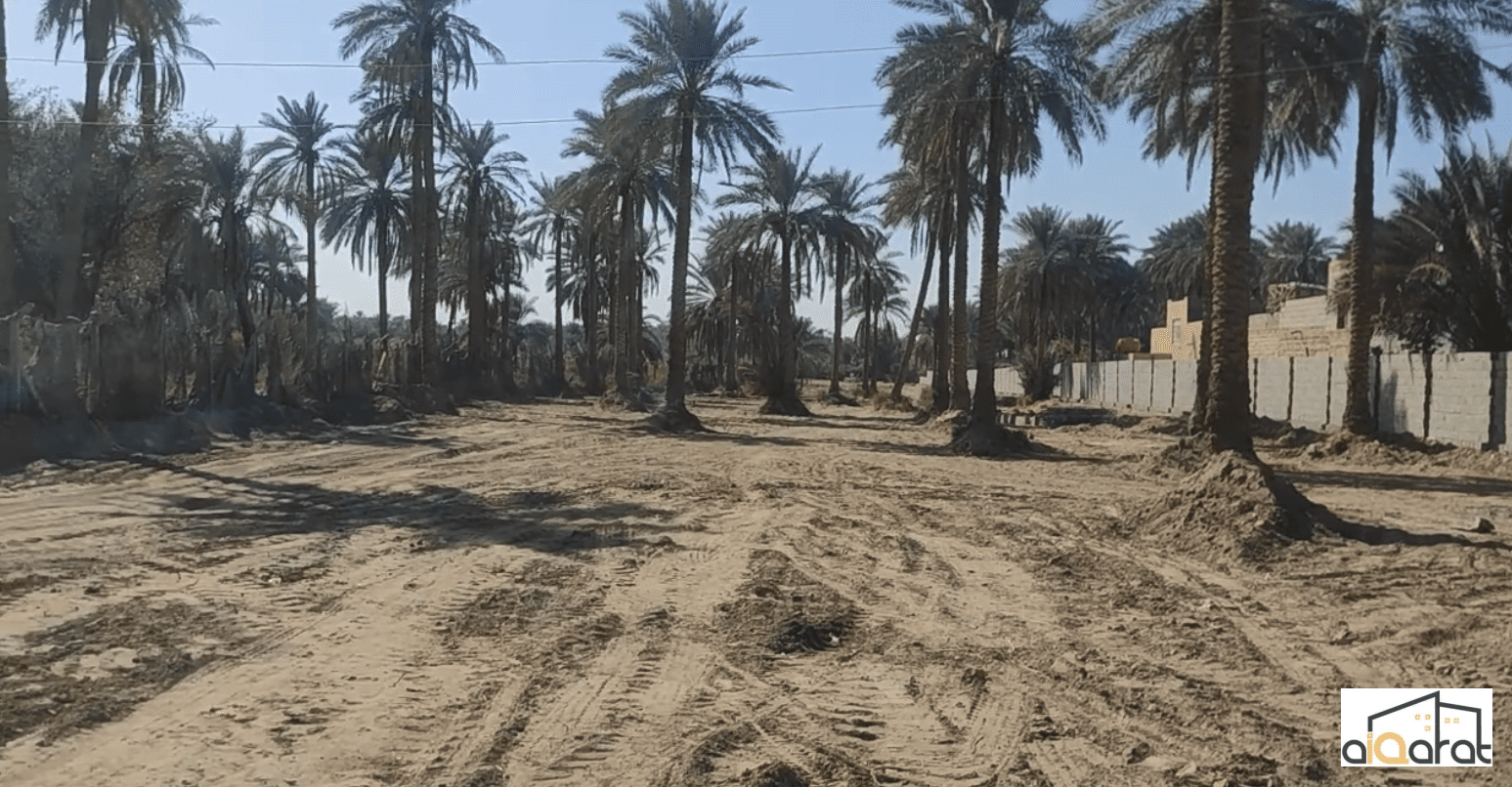 Screen Shot 2023-11-12 at 12.42.46 PM