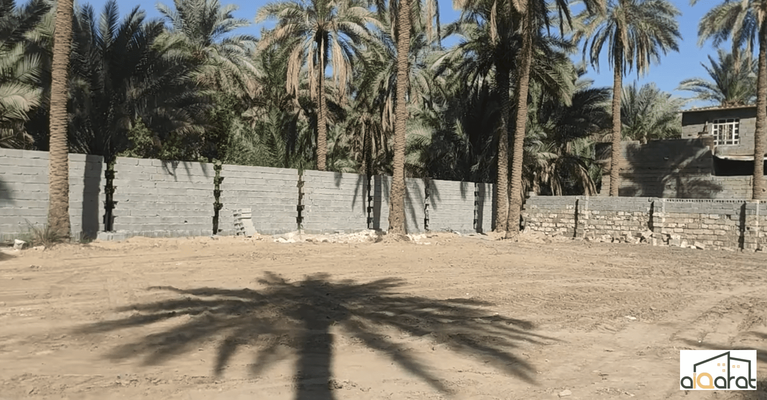 Screen Shot 2023-11-12 at 12.43.02 PM