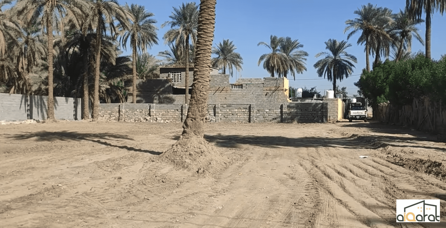 Screen Shot 2023-11-12 at 12.43.22 PM