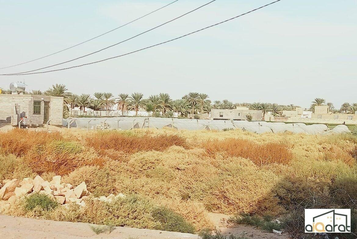 أرض زراعي سند ٢٥ للبيع في الانبار٬الرمادي (١٨٧٥م²) السعر ١١٥مليون دينار