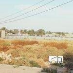 ا١