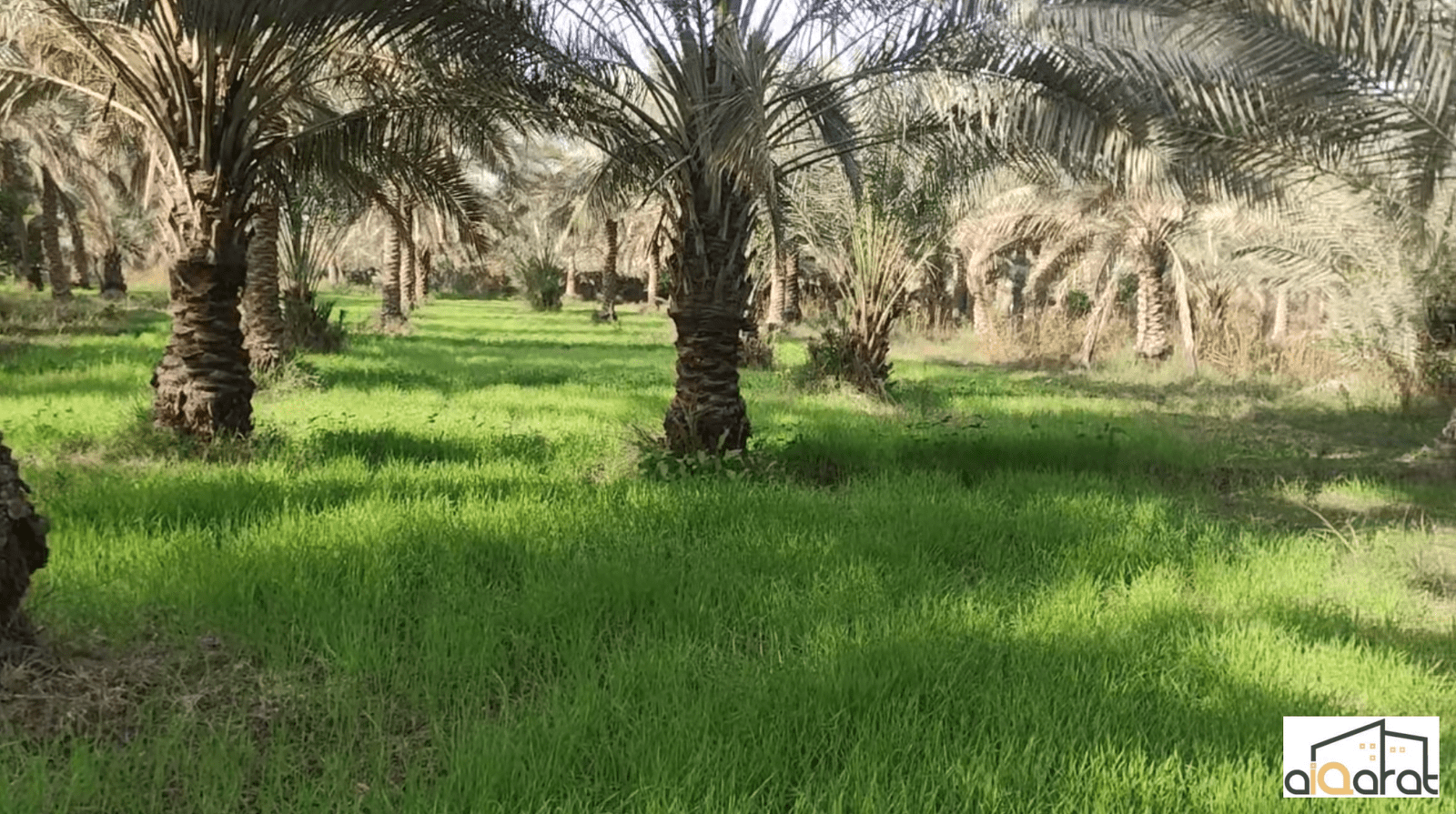 Screen Shot 2023-12-21 at 3.22.34 PM