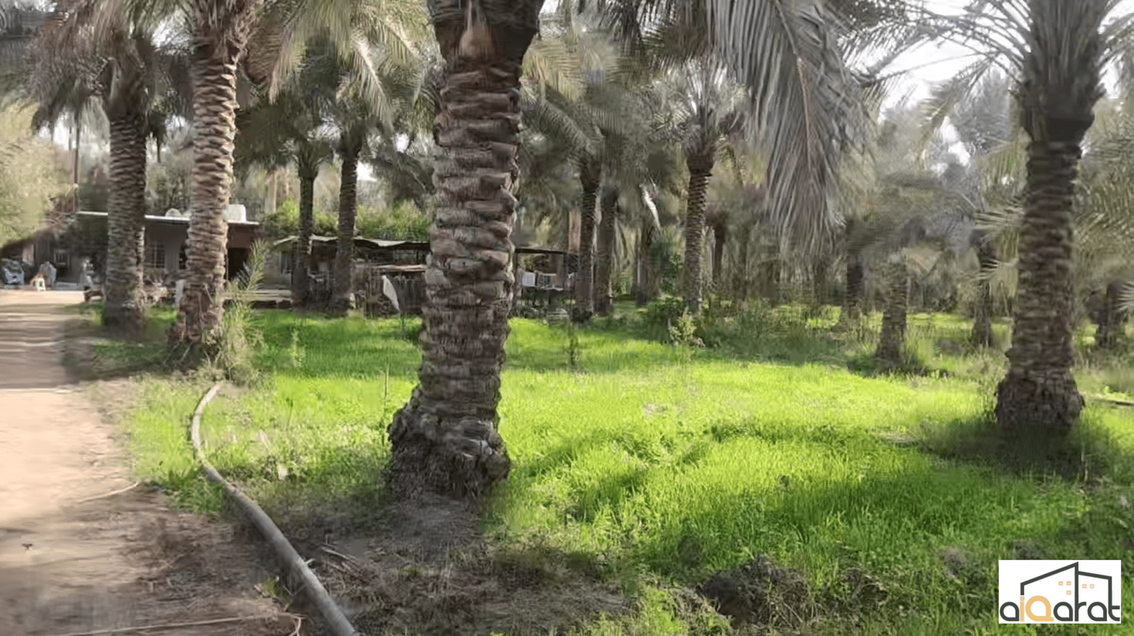 Screen Shot 2023-12-21 at 3.24.02 PM