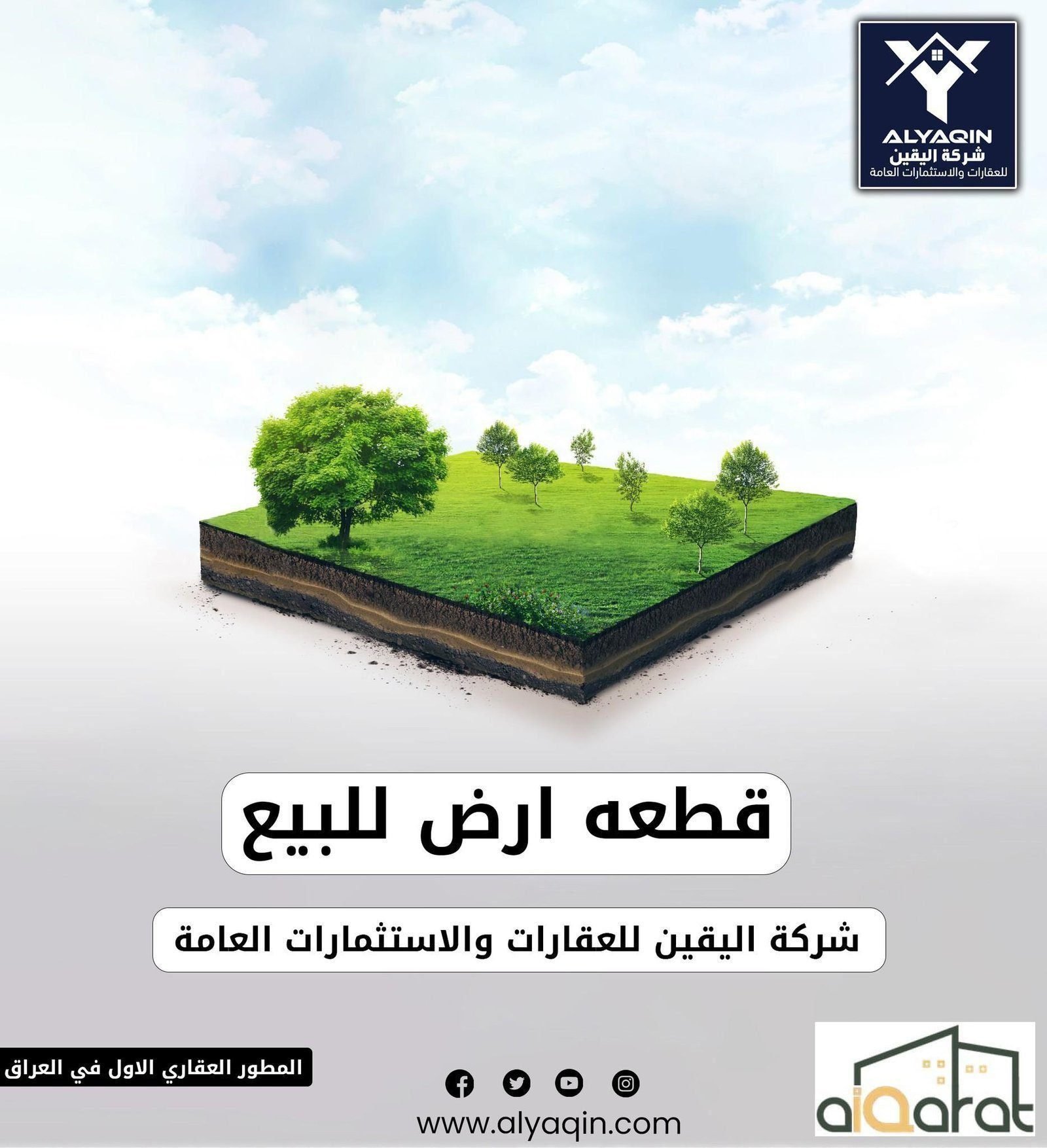 illustration for companies, artists, designers