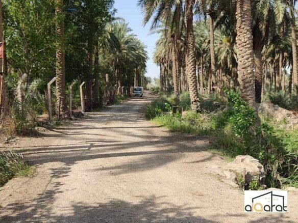 ر٢