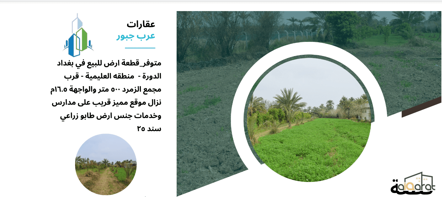 Screen Shot 2024-02-25 at 2.00.58 PM