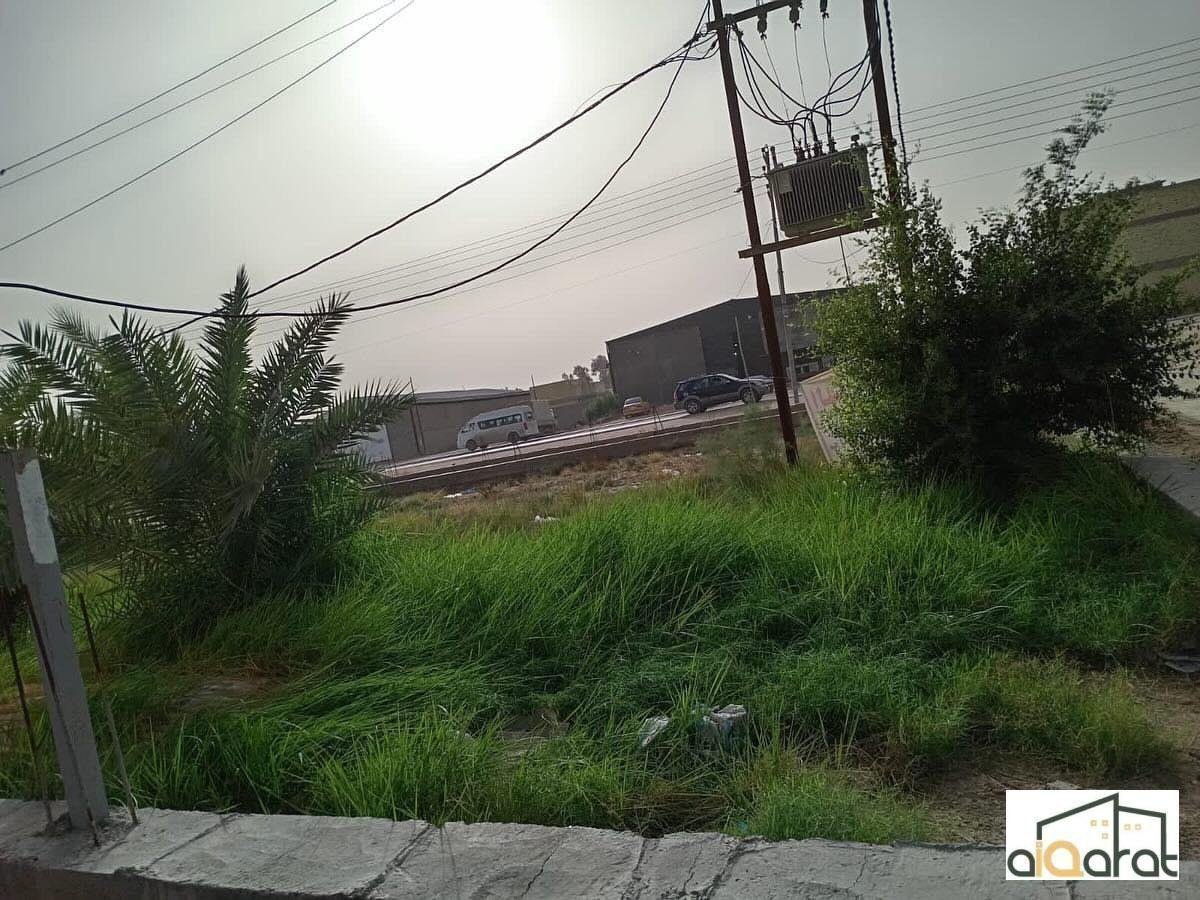 WhatsApp Image 2024-05-03 at 6.52.03 PM