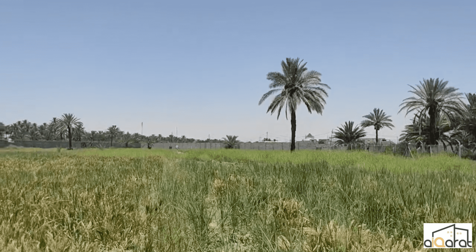 Screen Shot 2024-07-03 at 9.20.10 PM