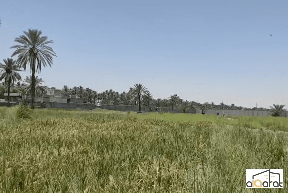 أرض زراعي للبيع في كربلاء٬منطقة الحصوة (٥دونم ونص) السعر للدونم ٢٠٠مليون دينار