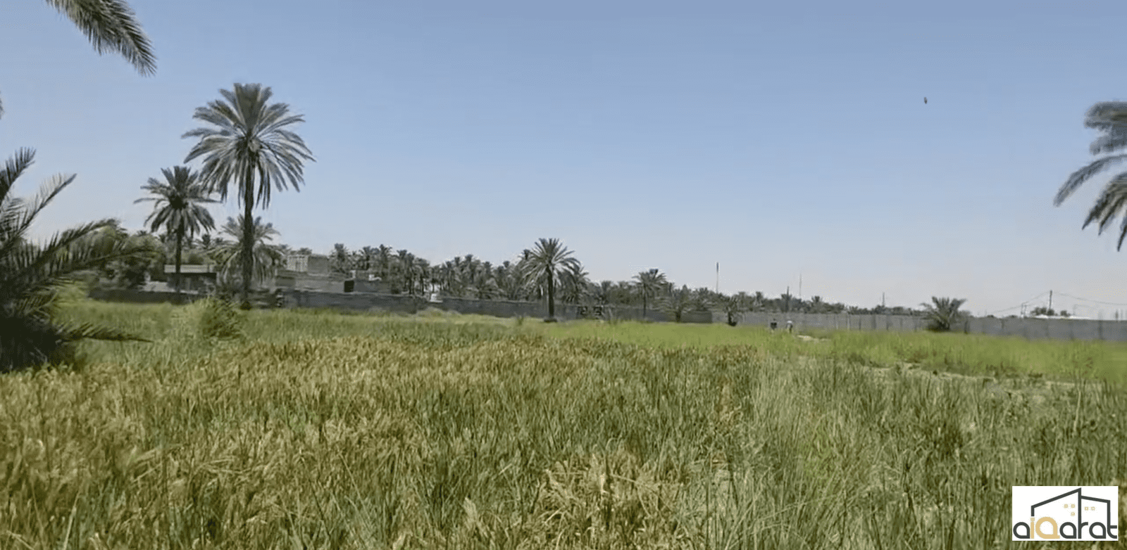 Screen Shot 2024-07-03 at 9.20.29 PM