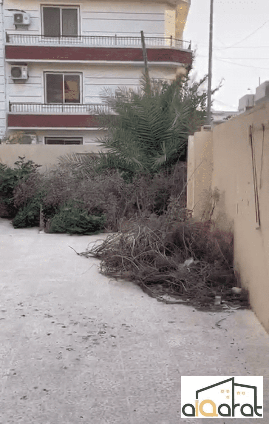 Screen Shot 2024-07-23 at 3.14.39 PM