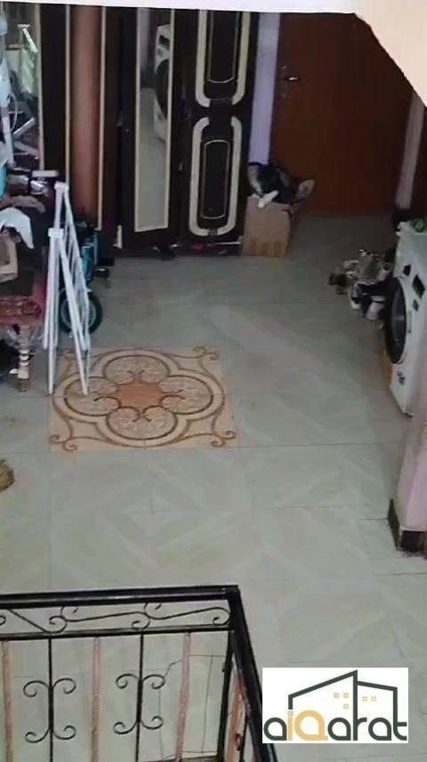 WhatsApp Image 2024-07-17 at 12.31.40 AM