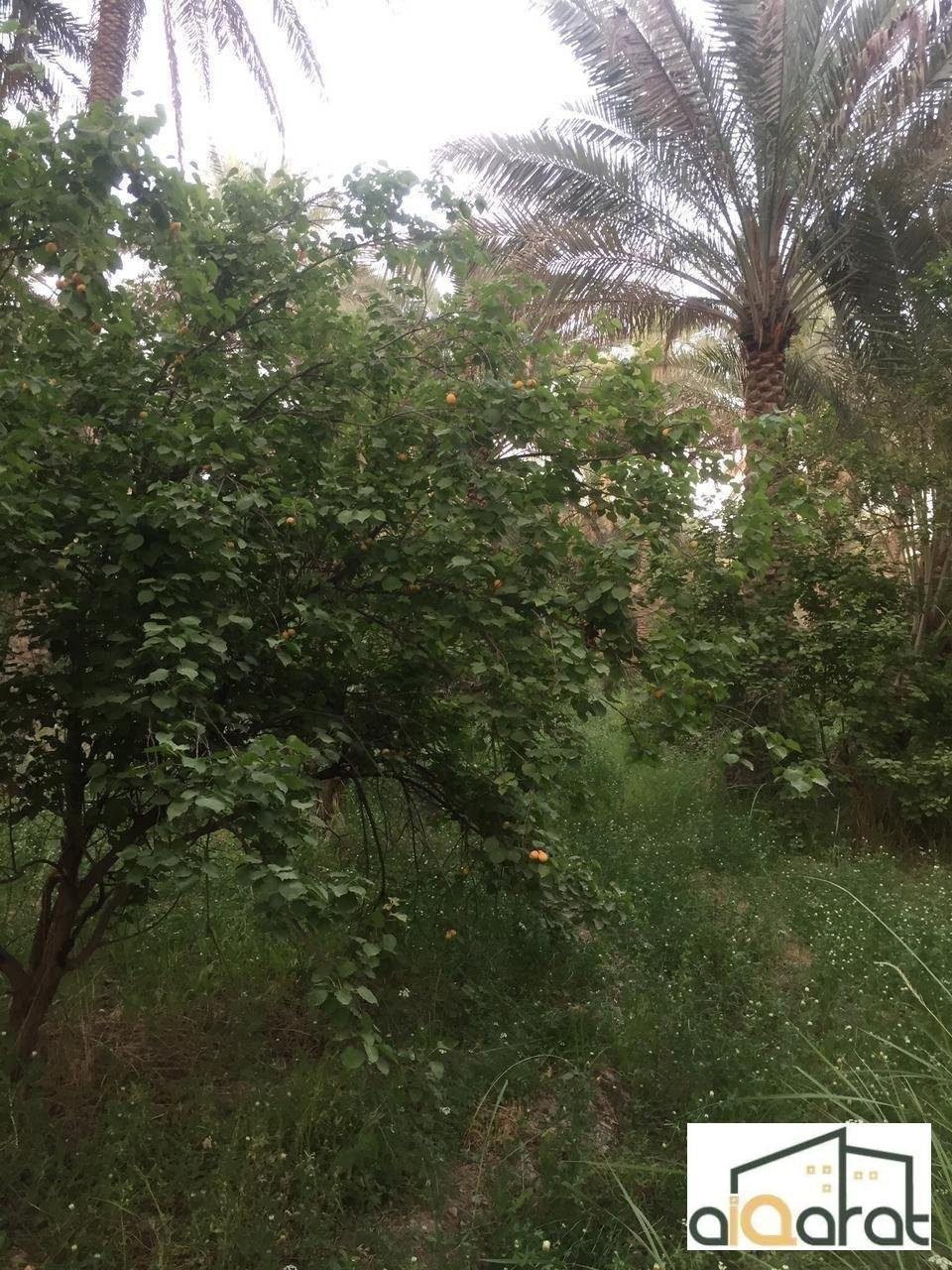 image_picker_0C936AB6-E850-4C88-BBC3-39E413CFF12E-35083-000006351A8AEE7E