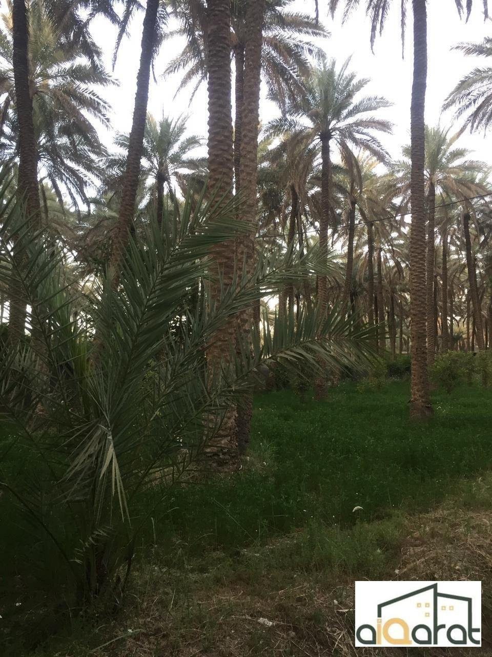 image_picker_2CF592E1-DAC3-4ED5-905E-65A6CFE64ED9-35083-000006351A310EA0