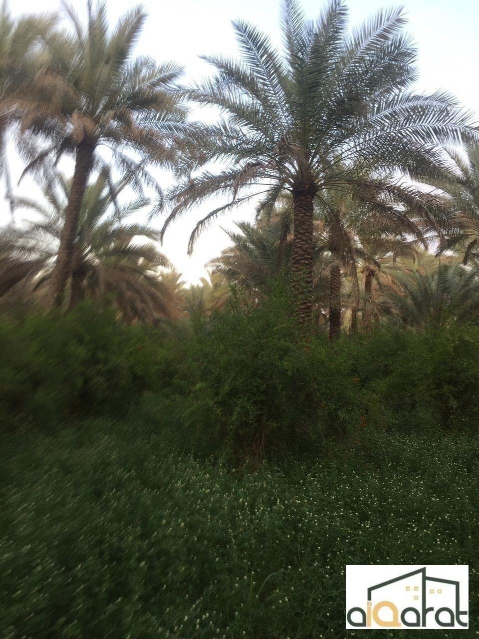 image_picker_562FB1E1-FEF3-4D55-99F4-AFD4FE5DA0C1-35083-0000063519EA754D