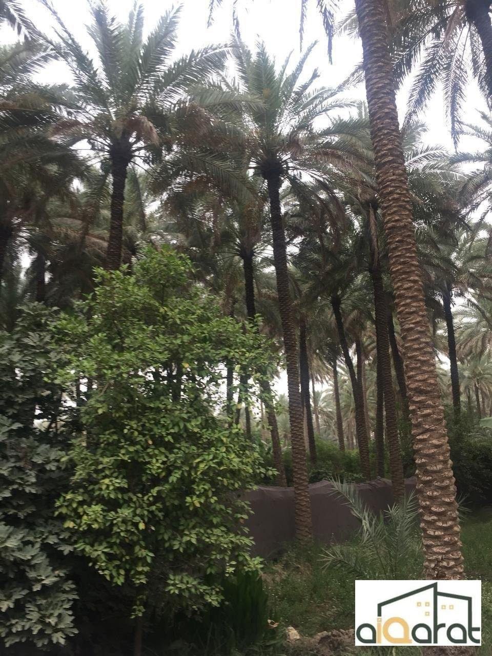 image_picker_A87E38AC-18FF-4195-B692-52389CE955A6-35083-000006351A14A9B4