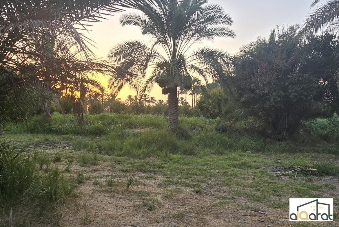 أرض زراعي للبيع في الدورة٬عرب جبور (٧٥٠٠م²) السعر ١٬٧٥٠مليار دينار