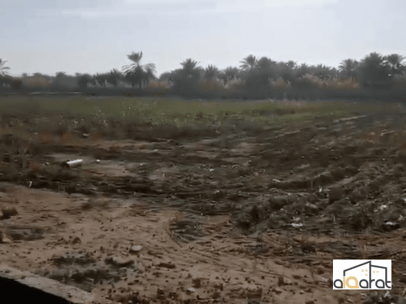أرض زراعي للبيع في كربلاء٬طريق كربلاء بغداد (٣٤دونم) السعر للدونم ٢٧٥مليون دينار 3 Screen Shot 2024 09 22 at 7.48.21 PM