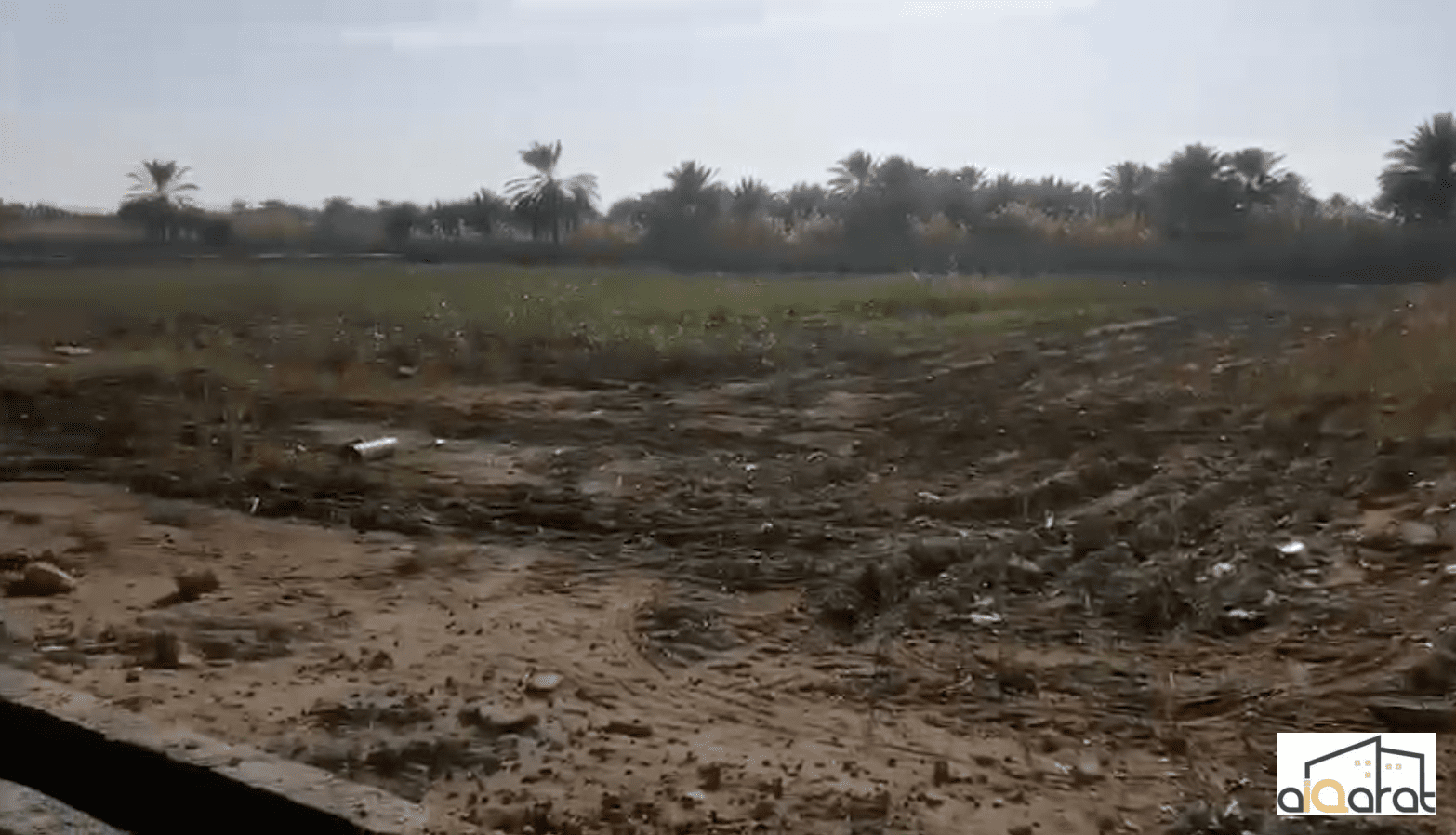 Screen Shot 2024-09-22 at 7.48.21 PM