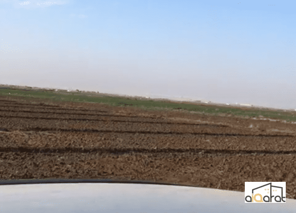 أرض زراعي للبيع في الرمادي٬جزيرة الحامضية (٢٢ دونم) السعر للدونم ٤٥مليون دينار