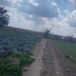 image picker 06172DAC F4B7 409C 9C88 F336758D3B26 89090 000052532B2817F2