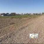 أراضي للبيع في الرمادي٬ الجزيرة قرب الطاحونه( ٢٠٠م²) السعر ١١مليون دينار 7 scaled 1000007393