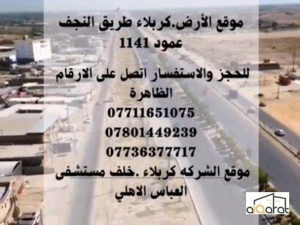 scaled 1001043087