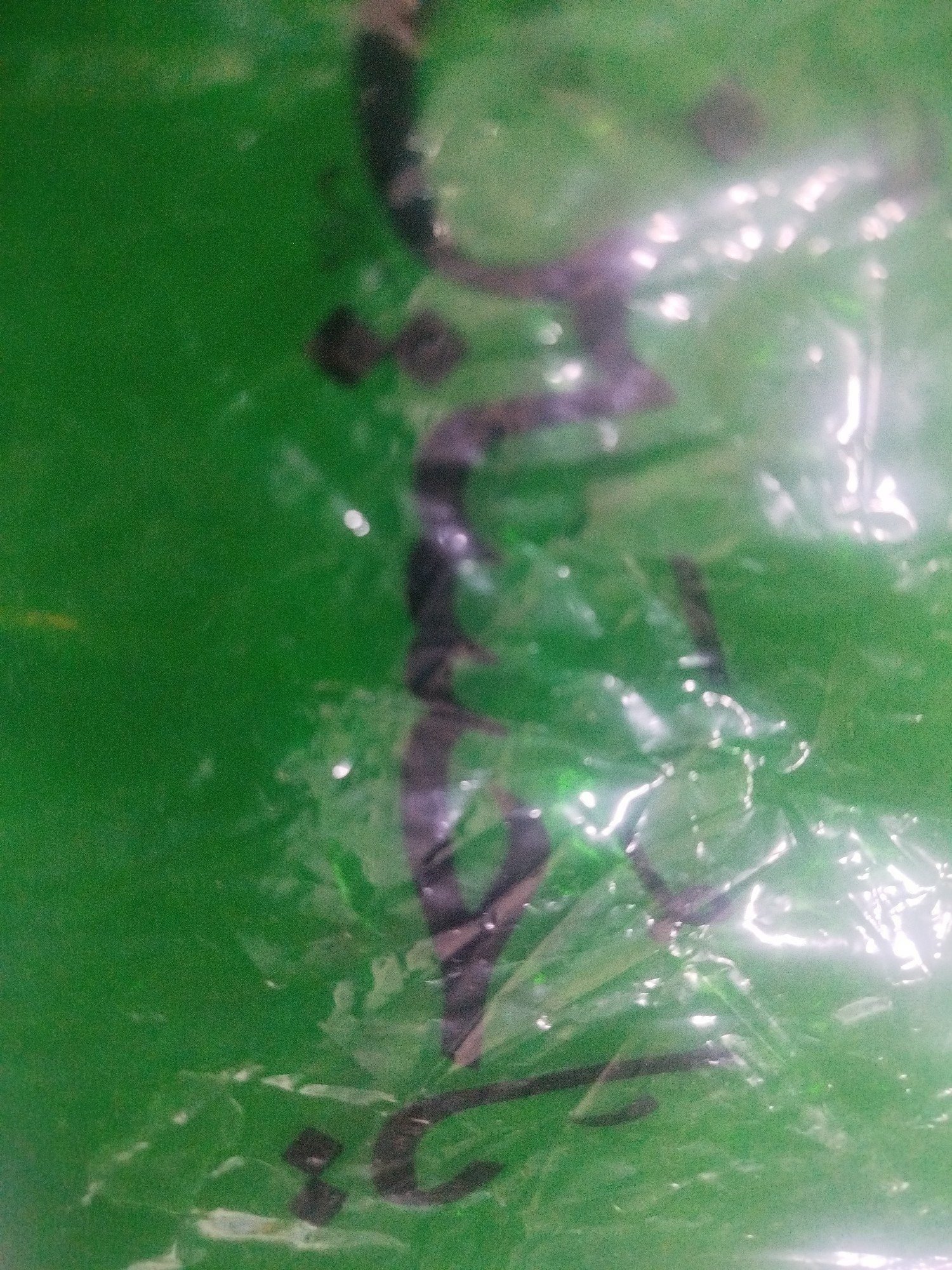 scaled_2dd69faa-e7d4-46f6-82f7-7814b414c9ac4269329993068340779