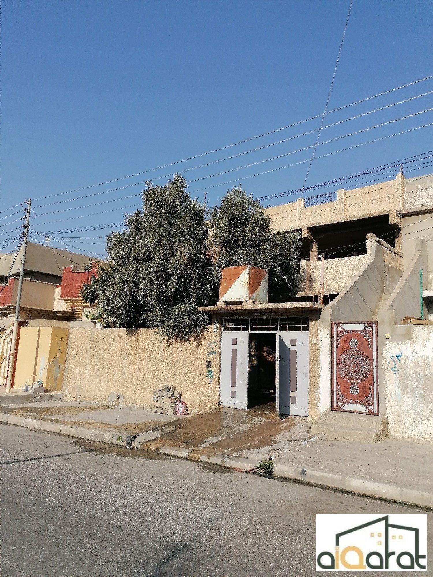 scaled_IMG_20240815_163856