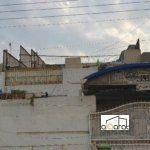 scaled image 1732126196