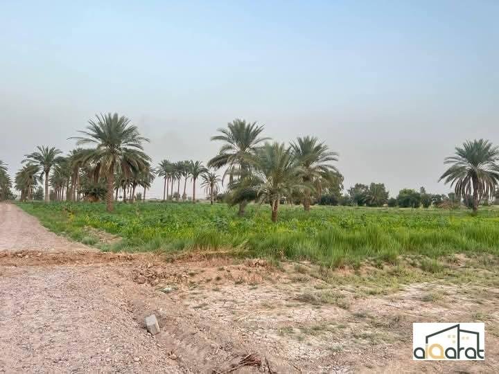 أرض زراعي للبيع في أبو غريب٬السميلات(٢٠دونم)السعر للدونم ٦٦مليون دينار